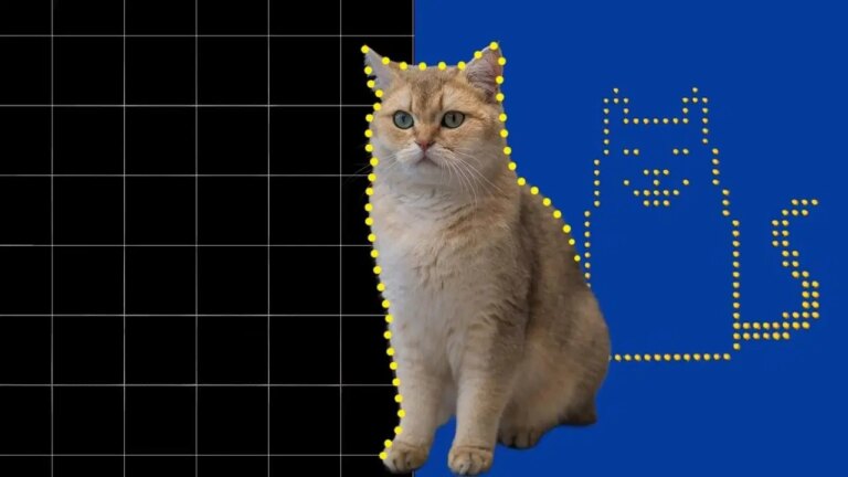 dunyanin en kucuk kedi videosu olusturuldu ySeeLPxN