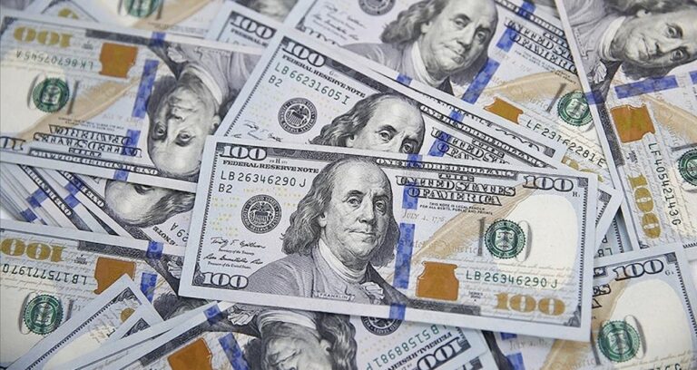 tcmb analizi firmalarin doviz biriktirme egilimi zayifliyor GZQb4BGS