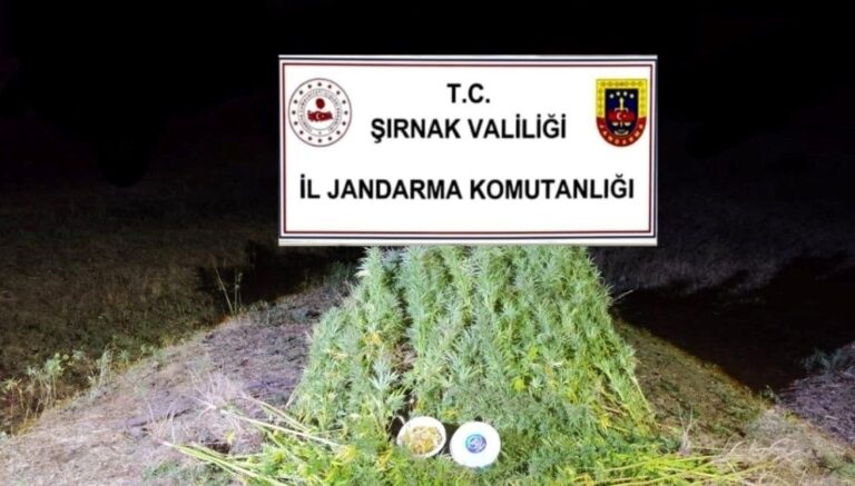 sirnakta kacakcilik operasyonlari bir haftada 44 kisi yakalandi 2Mn2RF1d