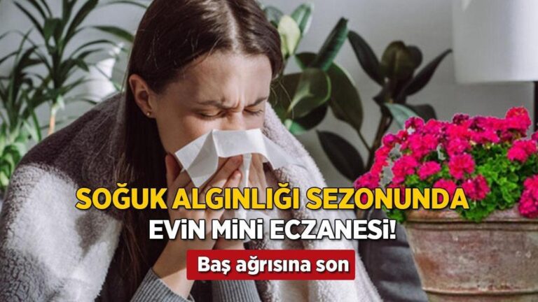 soguk-alginligi-sezonunda-evin-mini-eczanesi-pencere-kenarina-koyun-bas-agrisina-son-MLH3d76Q.jpg