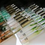 turk bilim insanlarindan dunya capinda bulus murekkep baligindan dogal gunes kremi 6ZAGS7R1.jpg