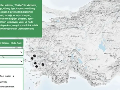 Turkiyenin zeytin atlasi erisime acildi UEc2RZjr